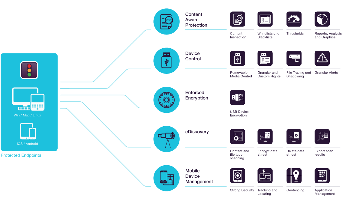 Infographic